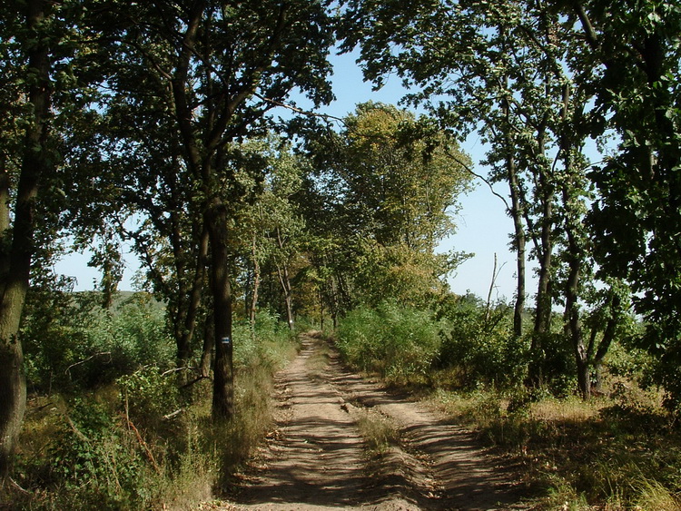 Dirt road on the long ridge of the hill