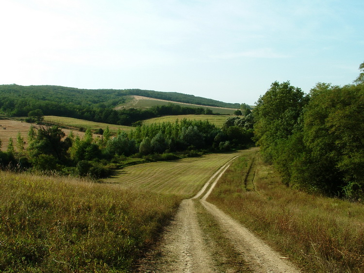 We walk on wheel tracks among the hills