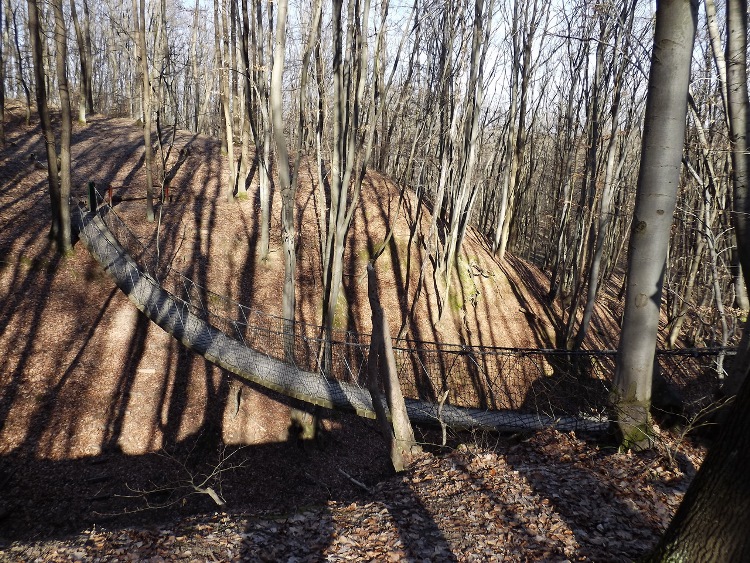 Rope suspension bridge in the forest