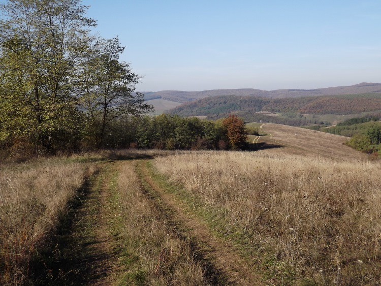 Downwards on meandering tracks to the valley