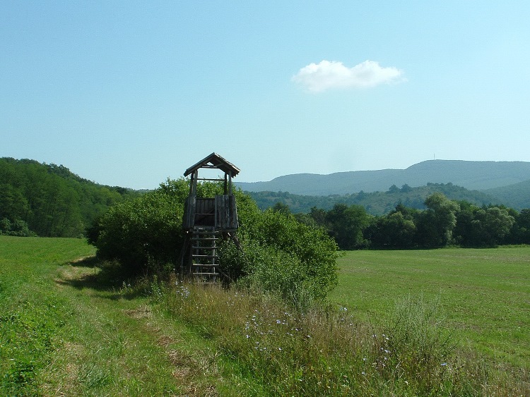 Grassy wheel tracks on the field between Felsőtold and Alsótold villages