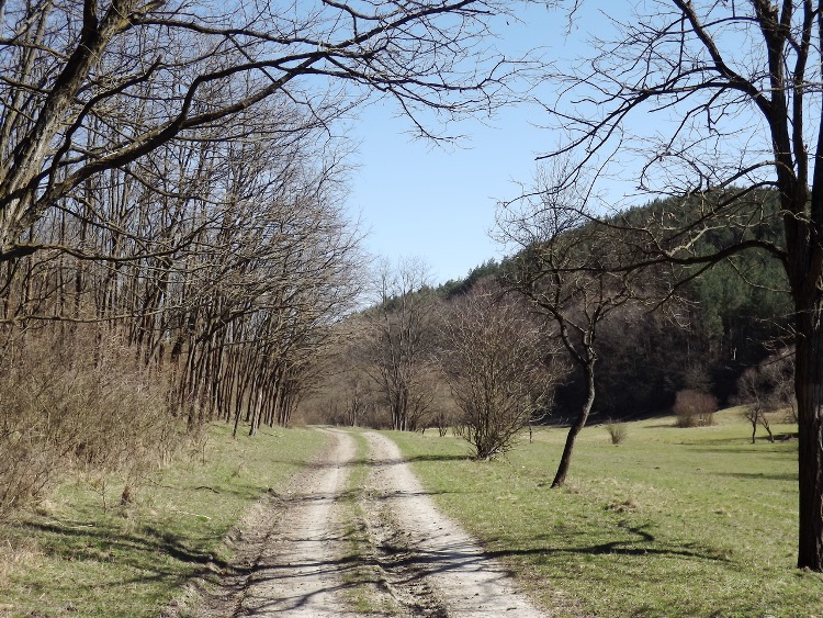 Dirt road in the Szálláska-völgy Valley