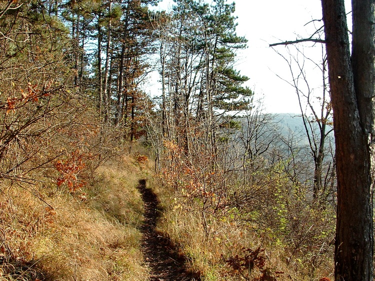 Levelling path at the side of Ágasvár Mountain