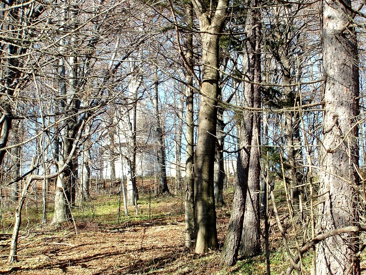 The domes of Piszkéstető observatory