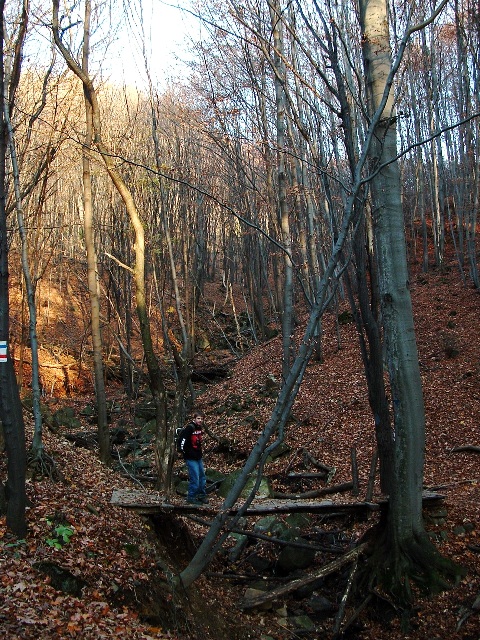 Wooden pedestrian bridge over the Nagy-Hidas-patak Creek