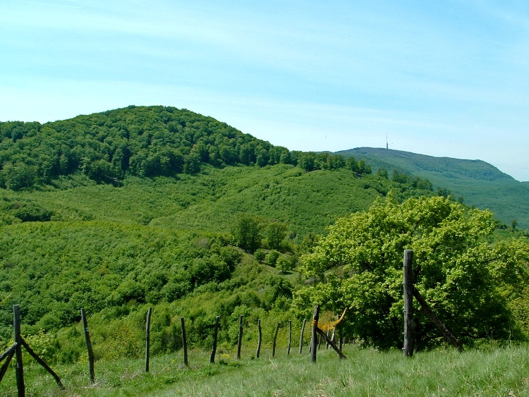 A view back towards Kékestető from the top of Oroszlánvár Mountain