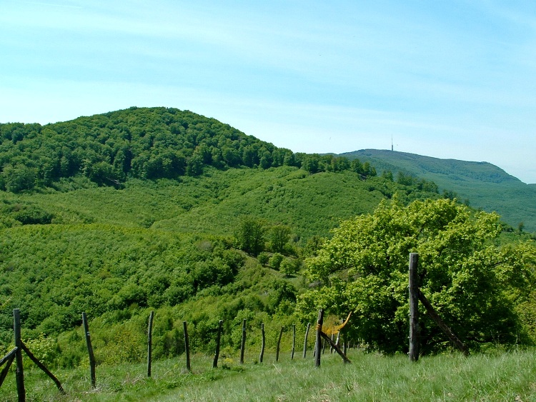 Visszapillantás az Oroszlánvárról a Cserepes-tetőre és a Kékesre