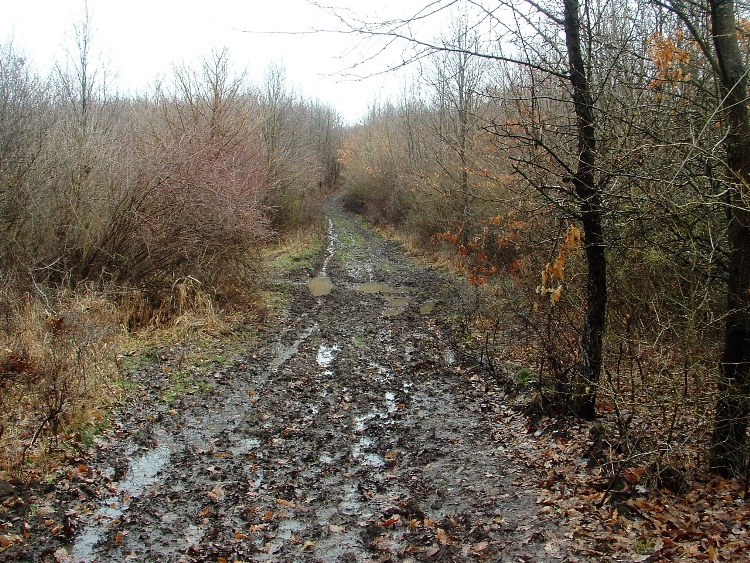 Sáros földúton az Alma-lápa-tetőn