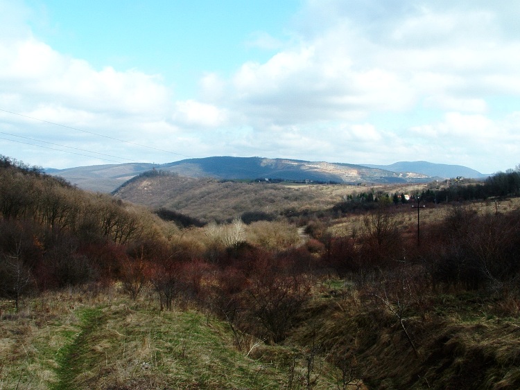 View from the bushy meadows