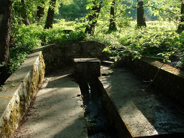 The abundant Lóczi-forrás Spring is located beside the asphalt road