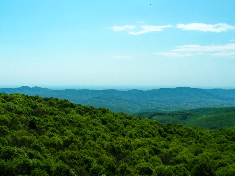 View from the top of Őr-kő Mountain