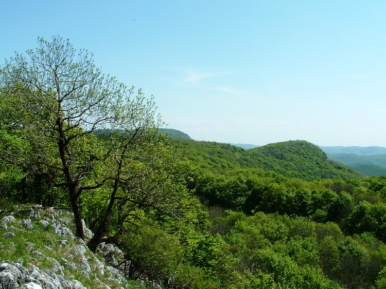 Kilátás az Őr-kőről délkelet felé, a Hegyes-kőre