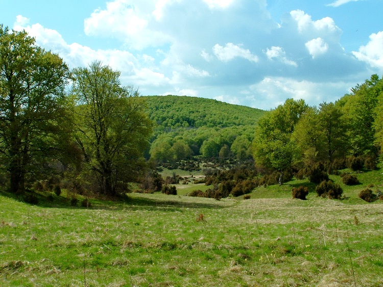 We cross the Zsidó-rét Meadow on hardly visible tracks