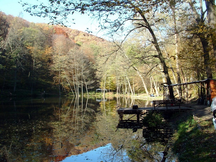 Fishing lake beside the worn asphalt road