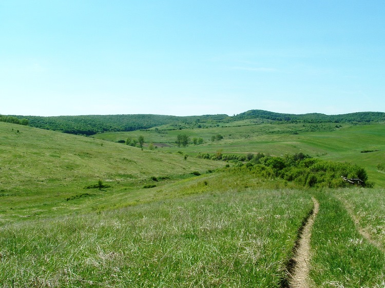 We walk on wheel tracks across the pasture