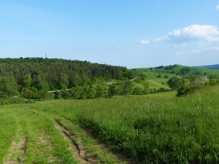 Visszatekintés a domboldalból a völgyre