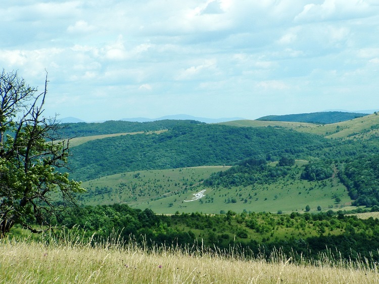 The crest of Aggtelek National Park appears in the far hillside
