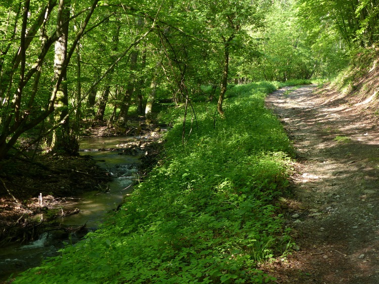 The lower section of the valley with the Ménes-patak Creek