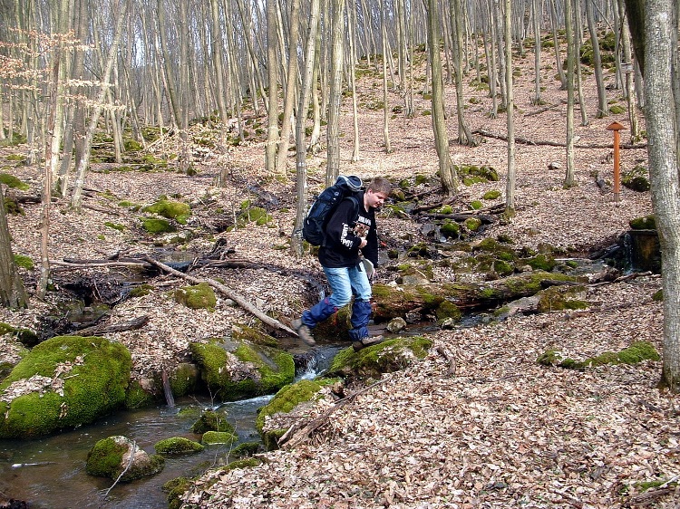 In the valley of Lakatos-forrás Spring