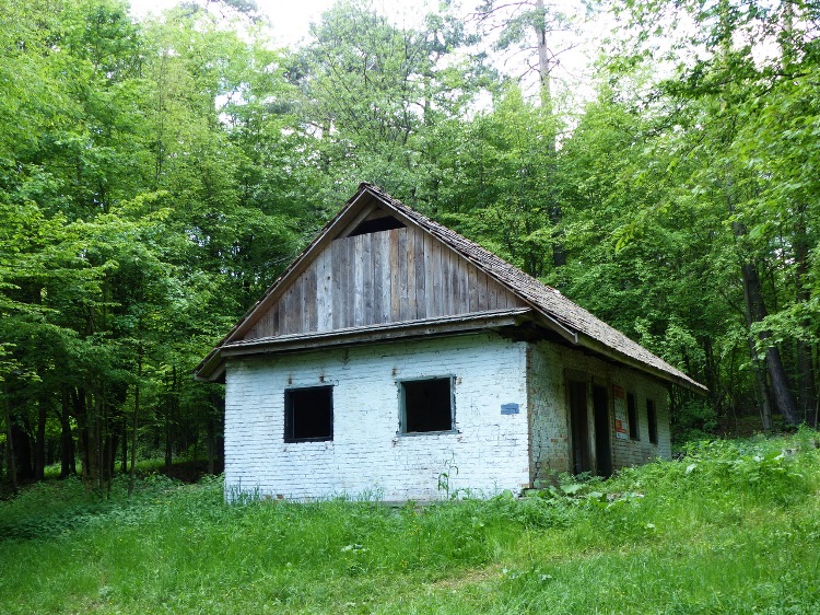 The abandoned Szabó-pallag forester's lodge