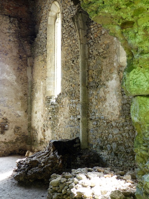 A Martonyi kolostor templomának impozáns romjai 3.
