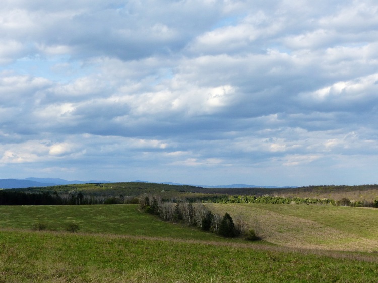 Typical landscape in the Cserehát Hills