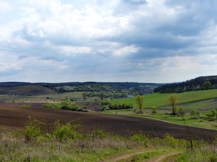 The view of the valley of Irota village taken from the hillside