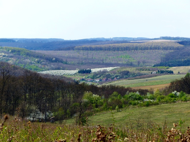 A glance back to Irota from the hills