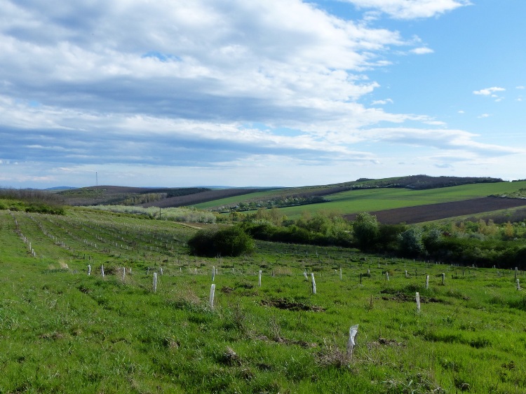 Typical landscape in the Cserehát Hills after Baktakék village