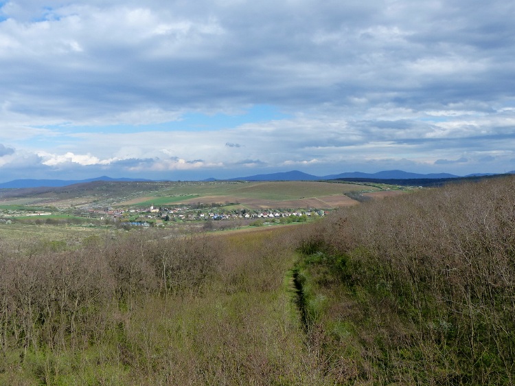 The view of Baktakék village taken from the lookout tower