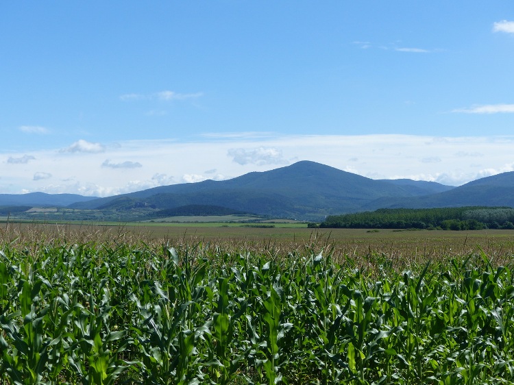 The view of the Zemplén Mountains from the dirt road