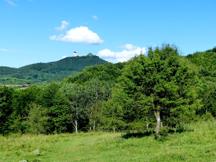 The view of Castle of Regéc taken from the meadow