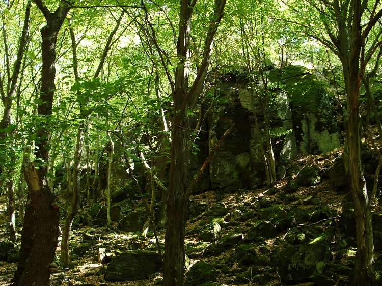 The path climbes among rocks