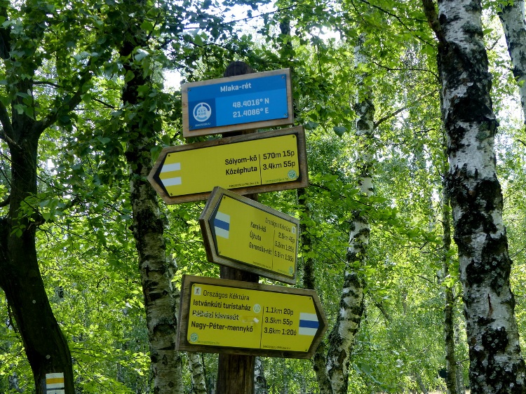 Information arrows at the junction of dirt roads