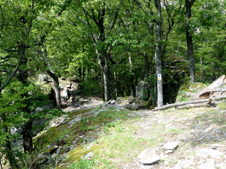 A Sólyom-kő sziklás gerincén