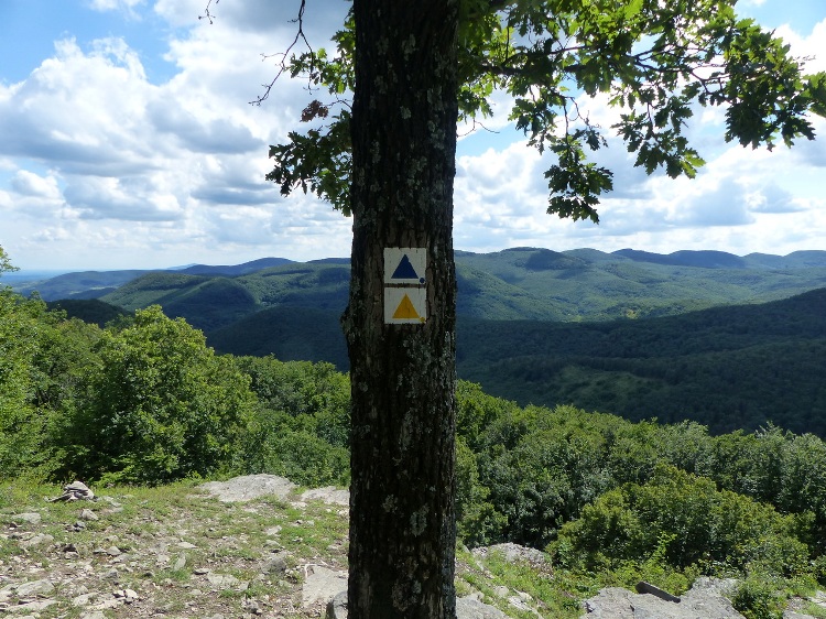 Panorama from the Sólyom-kő