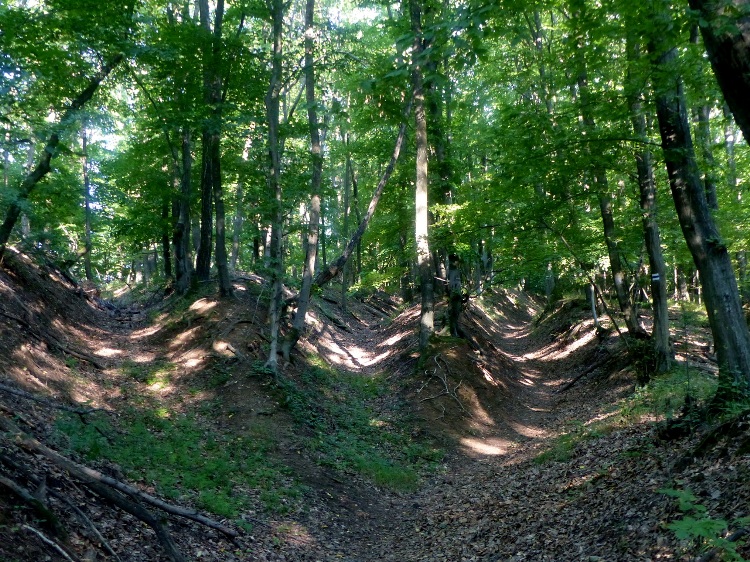 We climb among the erosion ditches in the hillside