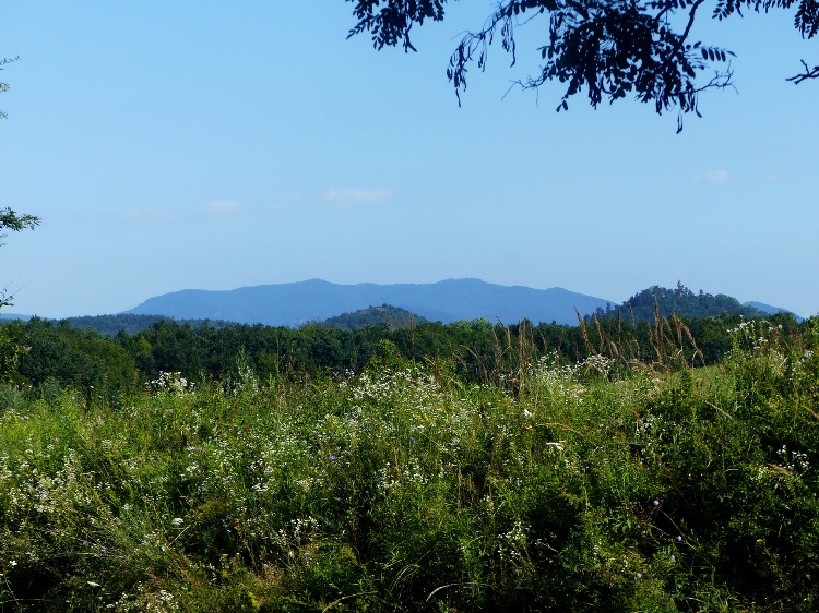 View to the Nagy-Milic from the access road of Vágáshuta