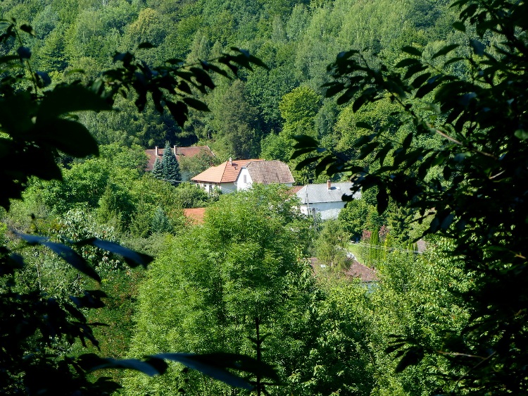 A fák között feltűnnek Nagyhuta házai