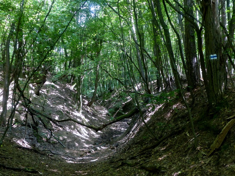 Walk on the bottom of an erosion ditch