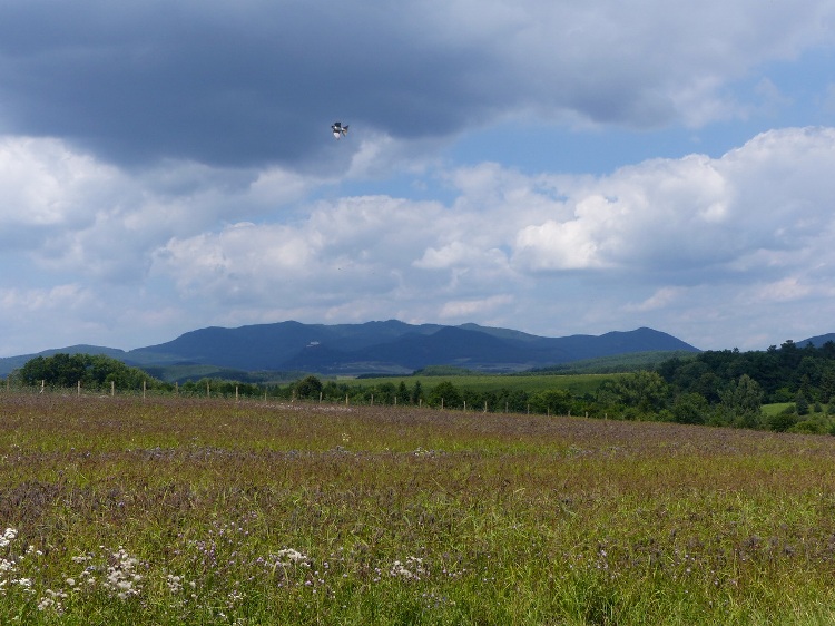 The view of the far Nagy-Milic with Castle of Füzér