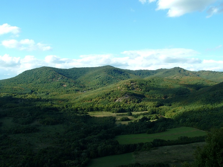 The forest covered side Nagy-Milic taken from the Castle Hill