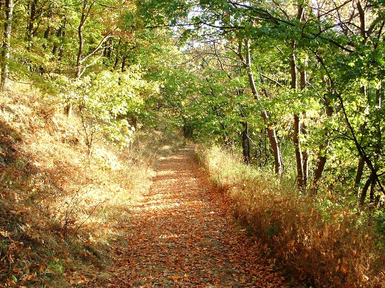 Walkway in the side of Magas-hegy