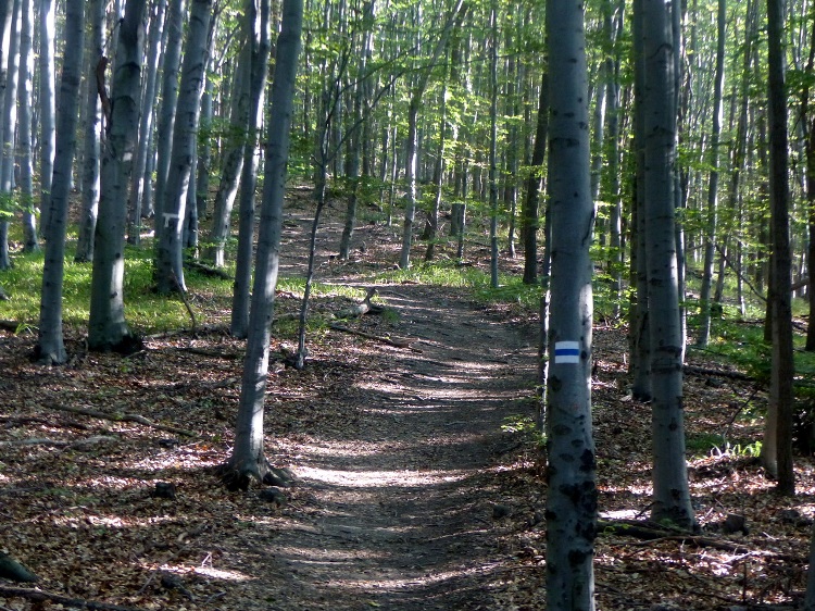 Hard climbing path in the mountainside