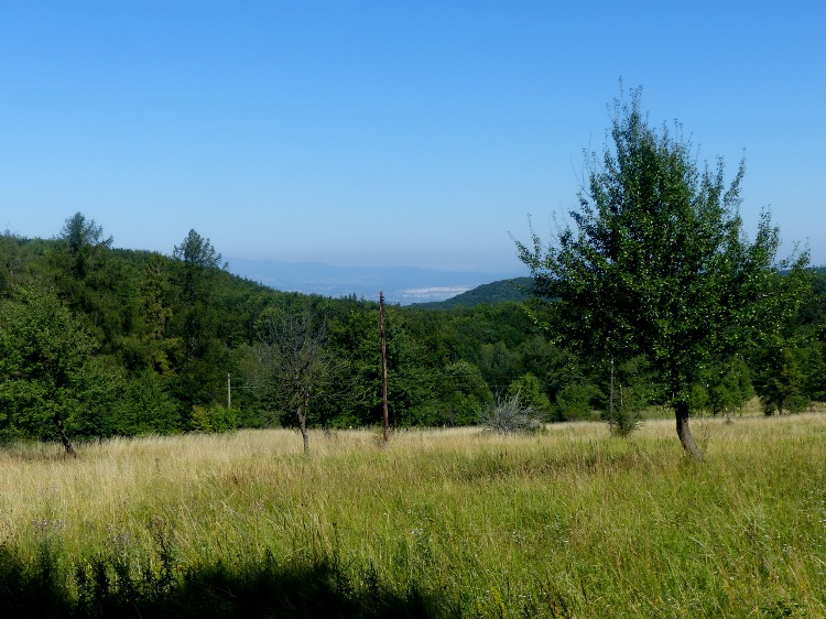 The Bodó-rét Meadow