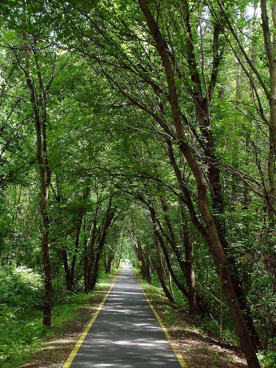 Cycle road between Hévíz and Keszthely