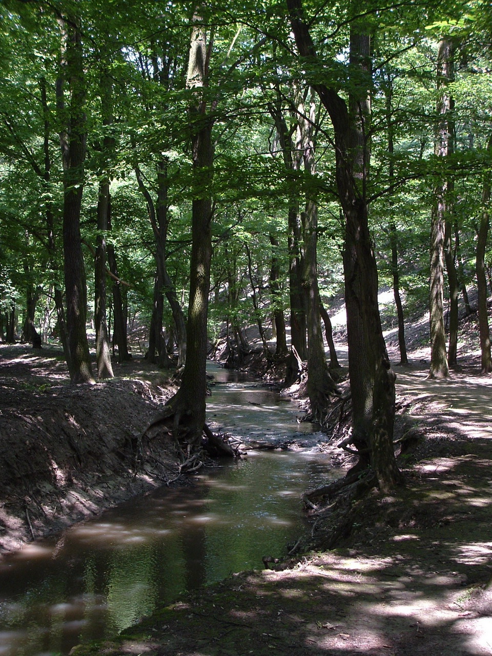 The path leads beside the Gaja Creek