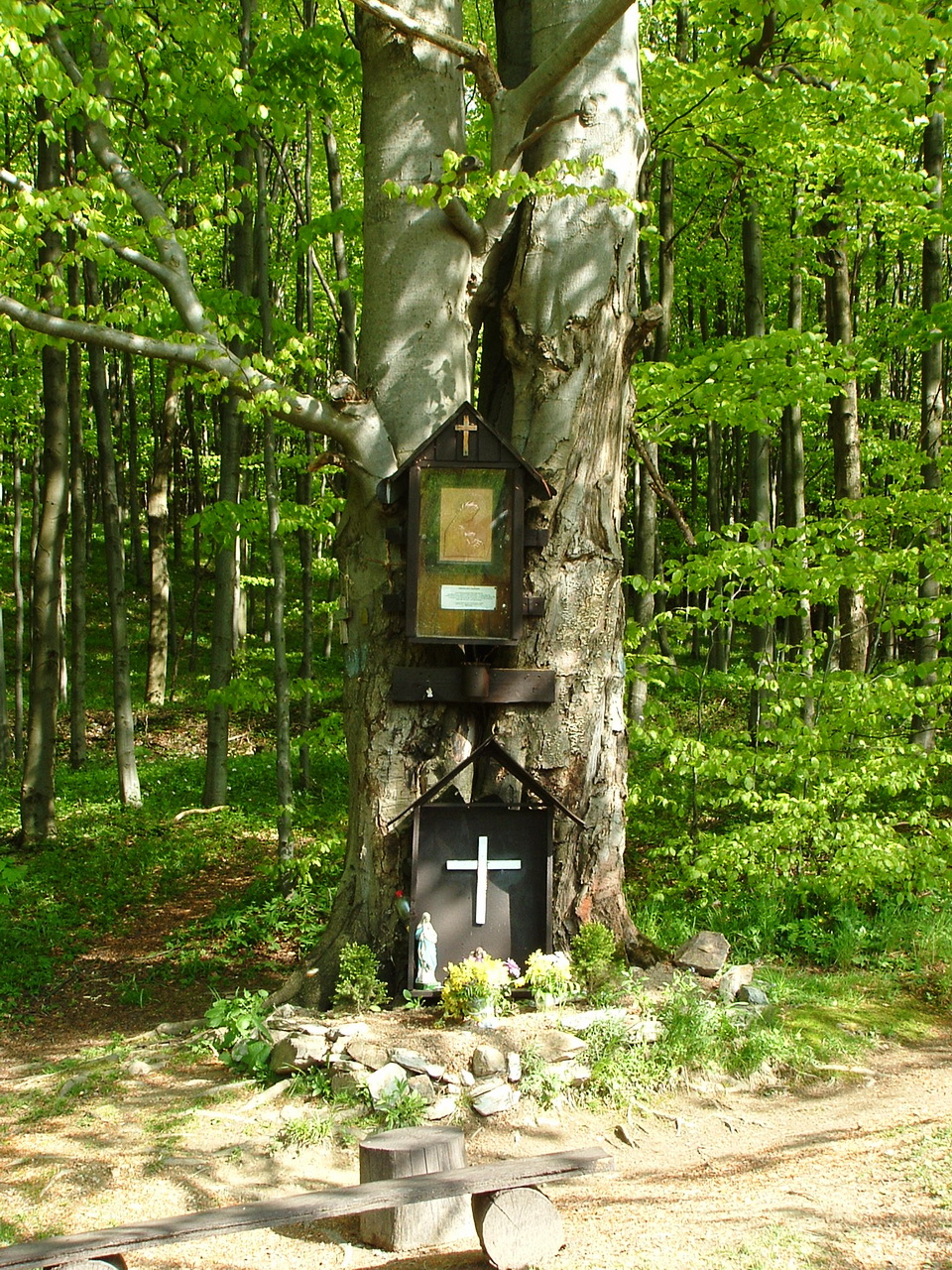 Mary-tree on the Faktor-rét Meadow