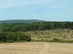 Kilátás a bekerített mezőről a Gerecse-hegyre