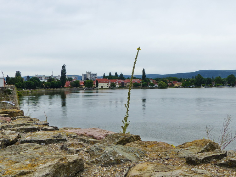 Tata - Kilátás a vártól az Öreg-tóra